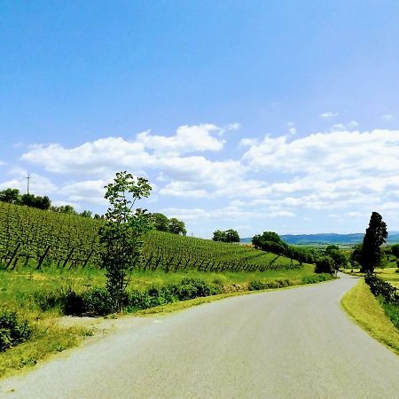 Centralissimo Nel Cuore Del Borgo スヴェレート エクステリア 写真